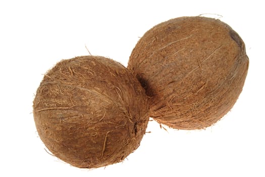 two coconut, photo on the white background