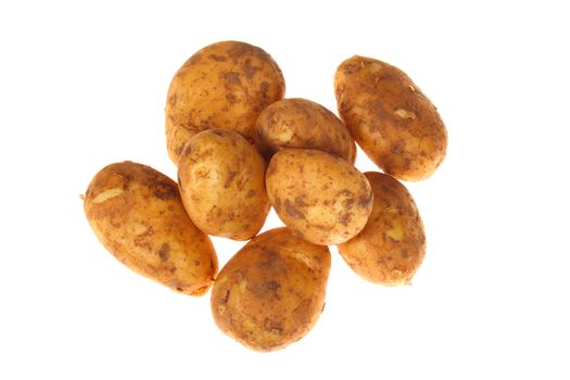 bunch of potatoes photo on the white background