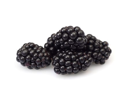 fresh blackberry, photo on the white background