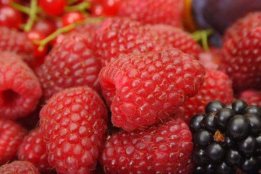 Group of Raspberries - the abstract food background