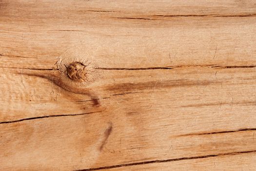 Fragment of yellow wooden logs without bark