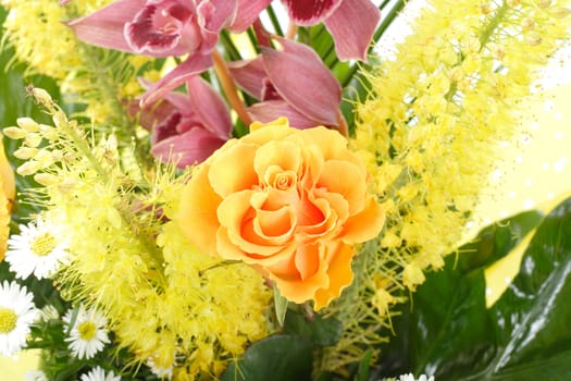 fresh flower, close relations of birthday bouquet