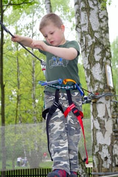  Young boy climbing in the forest