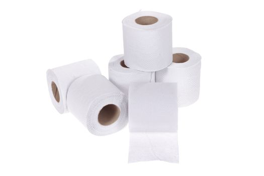 toilet paper, photo on the white background