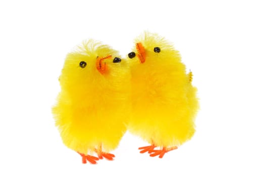 yellow chicklings photo on the white background