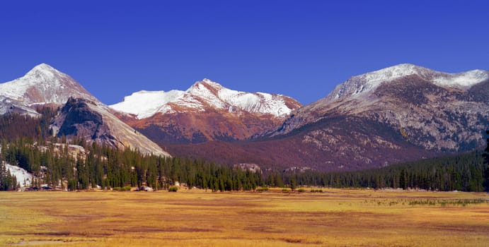 Sierra Mountains Nevada