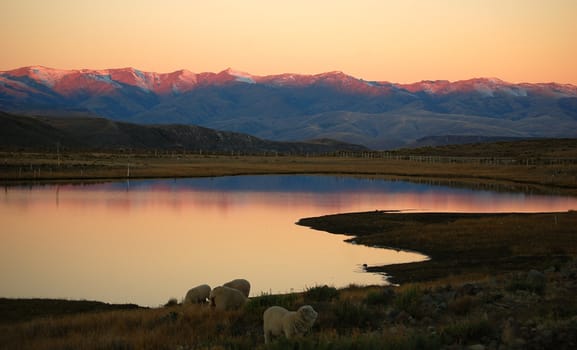 Evening sunlight illuminating snowcovered mountain peaks in Lanin national park