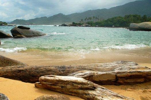 Beautiful beach in tayrona national park