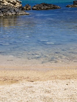 Detail of the waters edge on a tropical beach reef