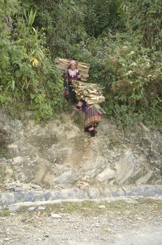 Flowered Hmong women returning from the drudgery of wood  in the mountains. These women are able to carry heavy loads over steep trails of the mountain for wood supply in the kitchen