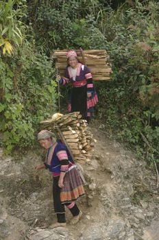 Flowered Hmong women returning from the drudgery of wood  in the mountains. These women are able to carry heavy loads over steep trails of the mountain for wood supply in the kitchen