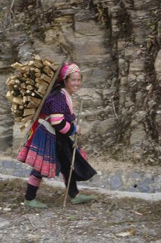 Hmong flowered woman returning from the firewood in the mountains. This woman is  able to carry heavy loads over steep trails of the mountain for wood supply in the kitchen