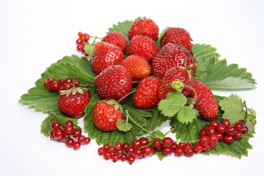 Ripe berry - a delicacy for children