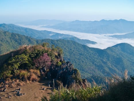 Mountain mist at Doi Pha Tang, Chiang Rai, Thailand