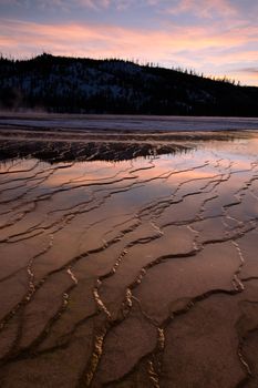 Geyserite patterns and a forested ridge at sunset, Grand Prismatic Spring, Yellowstone National Park, Wyoming, USA