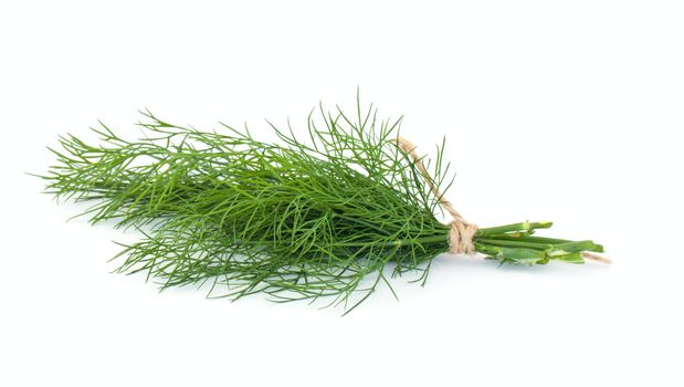 Dill leaf isolated on white background