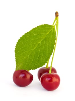 Red cherries isolated on white background