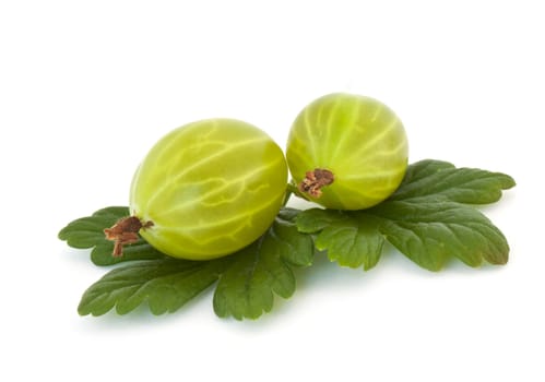 Gooseberries isolated on white background