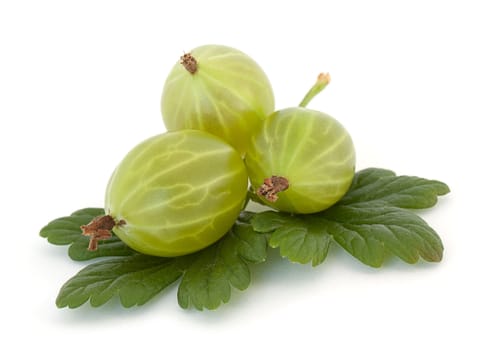 Gooseberries isolated on white background