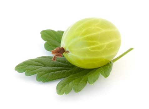 Gooseberries isolated on white background