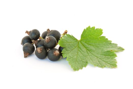Black currant isolated on white background