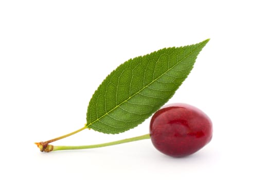 Sweet cherry isolated on white background