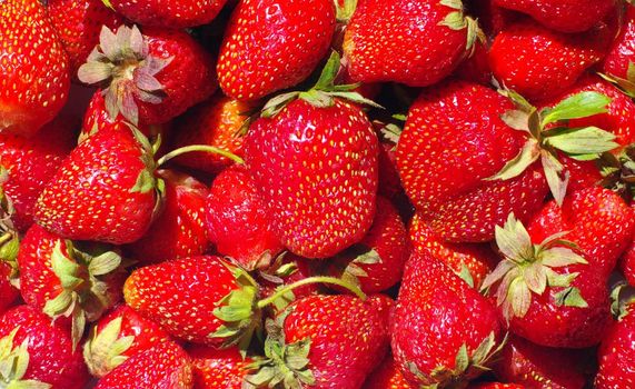 ripe red strawberry close up as background 