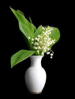 blossom of may-lilies in bowl on black