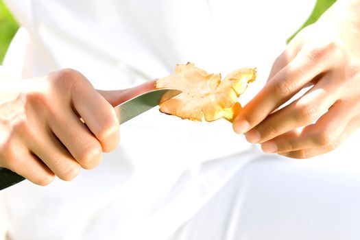 Hands when mushrooms clean with a knife