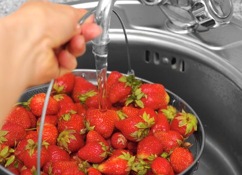 washed strawberry in kitchen-sink under stream water