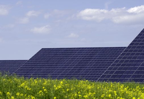 solar panels with rapesed field in the foreground