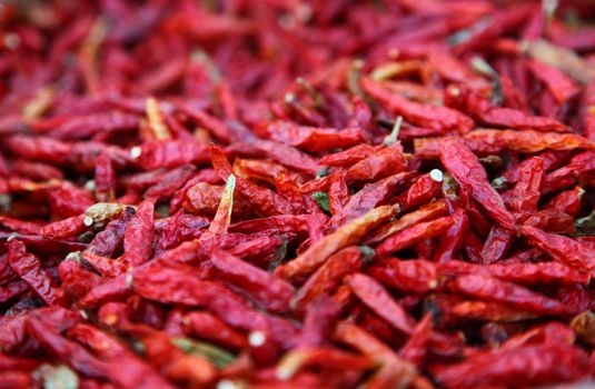 Hot Chili Peppers Red And Dried Ready To Spice Up Your Food 