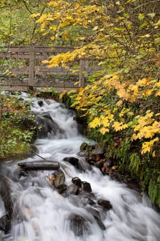 Wooden Bridge over Wahkeena Creek Falls in Columbia River Gorge