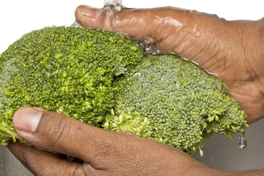 Hand washing fresh green broccoli bunch 