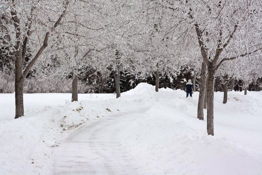 A man walking in on snow covered steets during winter in Regina, Canada