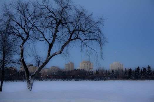 A dark cold winter day by a frozen lake in Regina, Canada