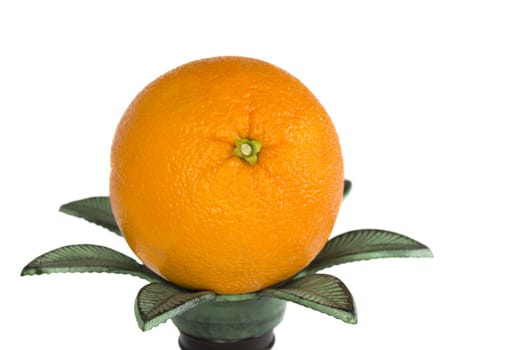 A single ripe orange sittng on a candle holder a white background