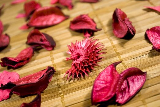 dry red spa flowers over wooden background texture