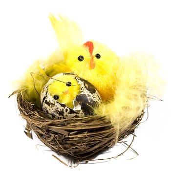 easter decoration chicken in a nest