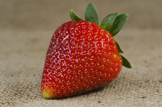  a strawberry on burlap