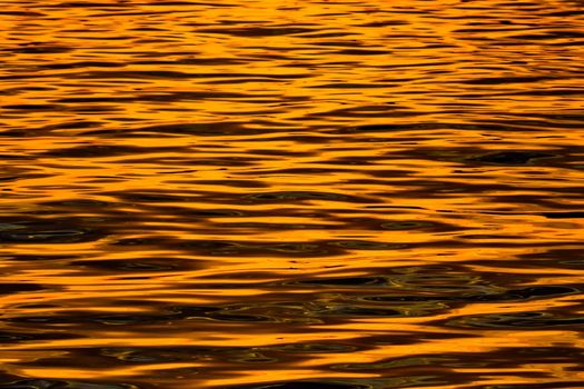 Sea at sunset - water shining and reflecting