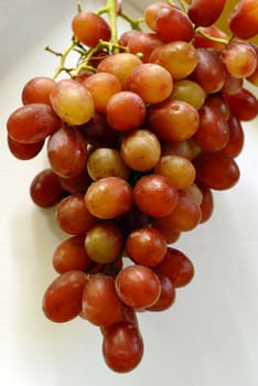 An Isolated shot of Red Grapes