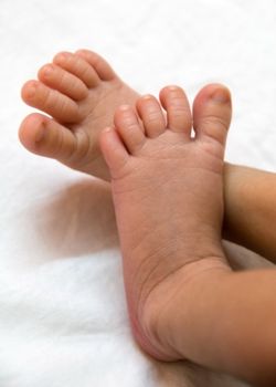 an isolated closeup of infant baby feet