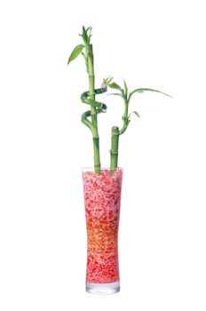 Glass jar with bamboo isolated on white background.