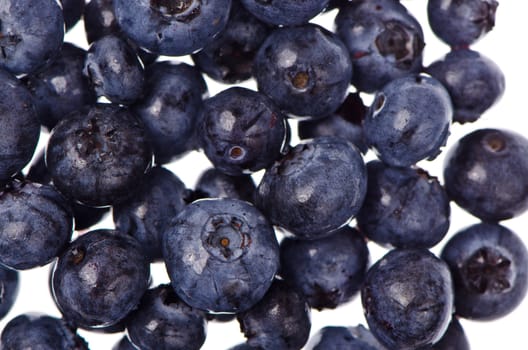 Extreme macro of Blueberries on white background