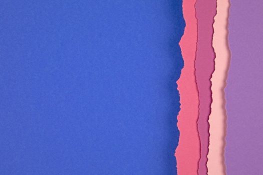 Colored torn paper strip borders.