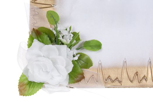 blank of decorative card, white rose, flower