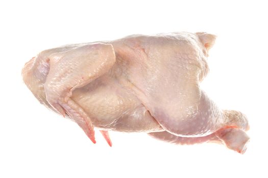 raw chicken, photo on the white background