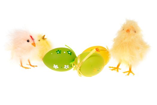 Easter chicks photo on the white background