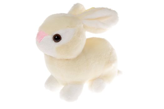 rabbit toy photo on the white background